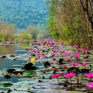 Explore Hanoi - Perfume Pagoda 1 Day for 1 days with Asia Focus Travel and discover unforgettable experiences - Photo 2