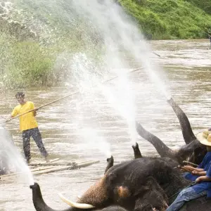 Explore Chiang Mai and the golden triangle - Single Traveller for 4 days with Asia travel and Estate and discover unforgettable experiences - Photo 5