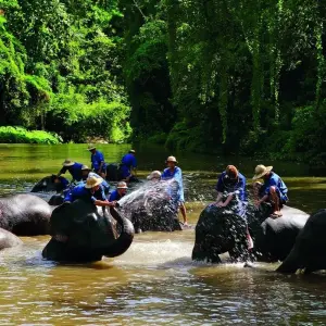 Explore "Unforgettable Solo Adventure: Bangkok Stopover & North Thailand Bliss - 7 Days & 6 Nights (Tour ends in Chiang Mai, Flights not included)" for 7 days with Asia travel and Estate and discover unforgettable experiences - Photo 6