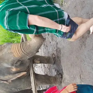 Explore Chiang Mai and the golden triangle - Single Traveller for 4 days with Asia travel and Estate and discover unforgettable experiences - Photo 7