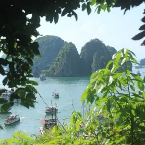 Explore Vietnam Eco for 13 days with Asia Great Tours and discover unforgettable experiences - Photo 11