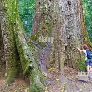 Explore Hanoi - Ninh Binh 2 days (Hoa Lu, Tam Coc, Cuc Phuong National Park) for 2 days with Asia Focus Travel and discover unforgettable experiences - Photo 3