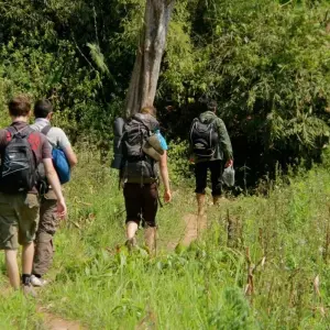 Explore Hanoi - Ninh Binh 2 days (Hoa Lu, Tam Coc, Cuc Phuong National Park) for 2 days with Asia Focus Travel and discover unforgettable experiences - Photo 4