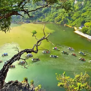 Explore Hanoi - Ninh Binh, Bai Dinh Pagoda, Trang An and Mua Cave 1 Day By Limousine Bus for 1 days with Asia Focus Travel and discover unforgettable experiences - Photo 4