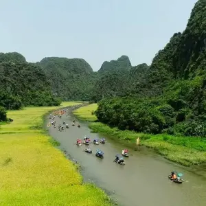 Explore Hanoi - Ninh Binh 2 Days 1 Night by Limousine (Hoa Lu, Tam Coc, Cuc Phuong National Park) for 2 days with Asia Focus Travel and discover unforgettable experiences - Photo 4