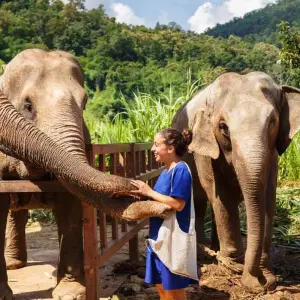 Explore Northern Thailand Chiang Rai- Thaton- Pai- Mae Hong Son- Chiang Mai 10 days 9 nights for 10 days with Asia Focus Travel and discover unforgettable experiences - Photo 5