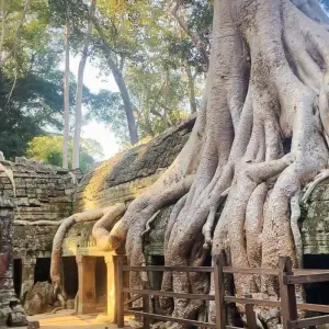 Explore Angkor 3 Days 2 Nights for 3 days with Asia Focus Travel and discover unforgettable experiences - Photo 6