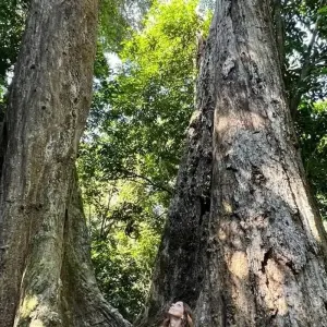 Explore Hanoi - Ninh Binh 2 days (Hoa Lu, Tam Coc, Cuc Phuong National Park) for 2 days with Asia Focus Travel and discover unforgettable experiences - Photo 9