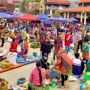 Explore NORTHERN NATURE AND CULTURE VIETNAM BEAUTIES - 12 DAYS for 12 days with Asia Focus Travel and discover unforgettable experiences - Photo 6