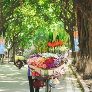 Explore Discover Ha Noi 5 Days 4 Nights (Ha Noi- Ha Long-Ninh Binh) for 5 days with Asia Focus Travel and discover unforgettable experiences - Photo 6