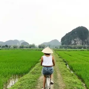 Explore Hanoi - Ninh Binh 2 Days 1 Night by Limousine (Hoa Lu, Tam Coc, Cuc Phuong National Park) for 2 days with Asia Focus Travel and discover unforgettable experiences - Photo 11