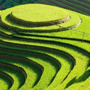 Explore North of Viet Nam Highlight 7 days 6 nights for 7 days with Asia Focus Travel and discover unforgettable experiences - Photo 5