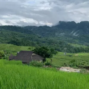 Explore Northern Vietnam 8 Days From Moutain to the Sea (Hanoi – Mai Chau – Pu Luong – Ninh Binh and Lan Ha Bay) for 8 days with Asia Focus Travel and discover unforgettable experiences - Photo 9