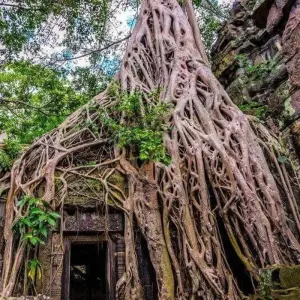 Explore Classic of Vietnam and Cambodia 6 Days from Sai Gon for 6 days with Asia Focus Travel and discover unforgettable experiences - Photo 4