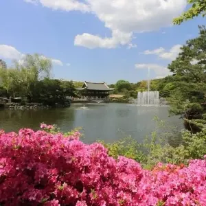 Explore Mekong Delta Tour Speed Boat to Cambodia 3 Days for 3 days with Asia Focus Travel and discover unforgettable experiences - Photo 3