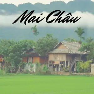 Explore Northern Vietnam 8 Days From Moutain to the Sea (Hanoi – Mai Chau – Pu Luong – Ninh Binh and Lan Ha Bay) for 8 days with Asia Focus Travel and discover unforgettable experiences - Photo 11