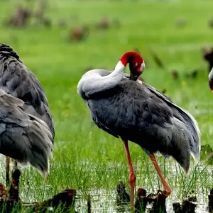 Explore Mekong Delta Tour Speed Boat to Cambodia 3 Days for 3 days with Asia Focus Travel and discover unforgettable experiences - Photo 7