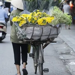 Explore Impressive Hanoi 4 Days 3 Nights (Hanoi, Halongbay) for 4 days with Asia Focus Travel and discover unforgettable experiences - Photo 11