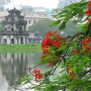 Explore Viet Nam 5 Days Super Save Package for 5 days with Asia Focus Travel and discover unforgettable experiences - Photo 11