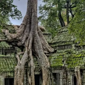 Explore Classic Vietnam and Cambodia 14 Days 13 Nights for 14 days with Asia Focus Travel and discover unforgettable experiences - Photo 3