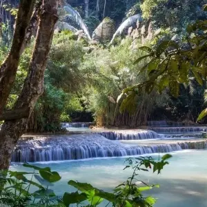 Explore LUANG PRABANG & BEYOND 7 DAYS 6 NIGHTS - PRIVATE TOUR for 7 days with Asia Focus Travel and discover unforgettable experiences - Photo 4