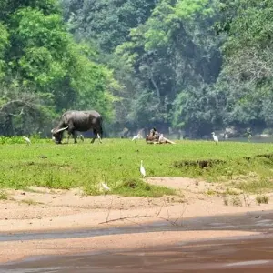 Explore Adventure Ban Gioc Waterfall - Ba Be Lake 4 days 3 nights for 4 days with Asia Focus Travel and discover unforgettable experiences - Photo 6