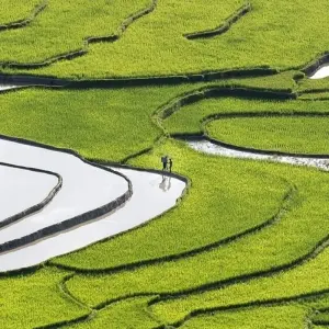 Explore LUANG PRABANG STOPOVER 3 DAYS 2 NIGHTS - PRIVATE TOUR for 3 days with Asia Focus Travel and discover unforgettable experiences - Photo 6