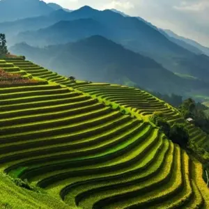 Explore Vietnam Discovery 22 days & 21 nights From Hanoi to Ho Chi Minh City for 22 days with Asia Focus Travel and discover unforgettable experiences - Photo 5