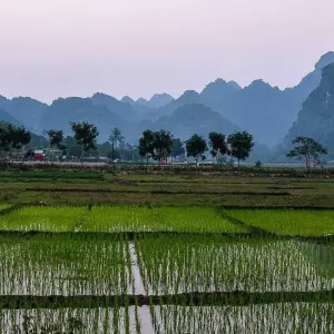 Explore Hanoi- Lan Ha Bay and Cat Ba island 5 days 4 nights for 5 days with Asia Focus Travel and discover unforgettable experiences - Photo 4