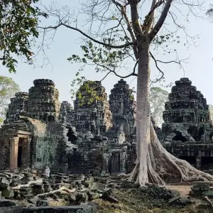 Explore Siem Reap Highlight 5 Days 4 Nights for 5 days with Asia Focus Travel and discover unforgettable experiences - Photo 3