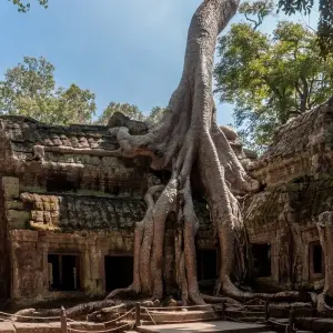 Explore Siem Reap Highlight 5 Days 4 Nights for 5 days with Asia Focus Travel and discover unforgettable experiences - Photo 5