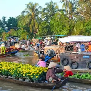 Explore Glance At Vietnam 7 Days 6 Nights from Ho Chi Minh City To Hanoi for 7 days with Asia Focus Travel and discover unforgettable experiences - Photo 9
