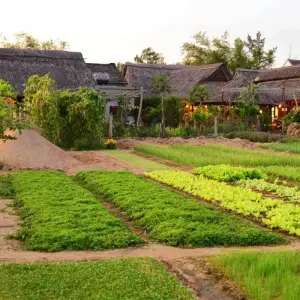 Explore Vietnam 15 Days Super Save (Hanoi, Sapa, Ha Long Bay,  Hue, Hoi An, Sai Gon, Mekong Delta) for 15 days with Asia Focus Travel and discover unforgettable experiences - Photo 4