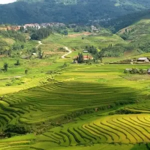 Explore Sapa Adventure trekking 3 days 2 nights By Limousine Bus for 3 days with Asia Focus Travel and discover unforgettable experiences - Photo 6