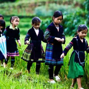 Explore Sapa Adventure trekking 3 days 2 nights By Limousine Bus for 3 days with Asia Focus Travel and discover unforgettable experiences - Photo 7