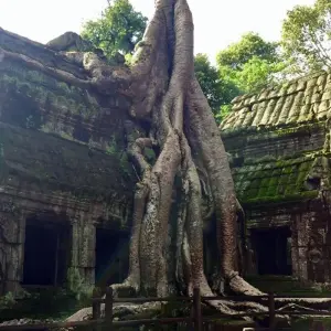 Explore Impressive Cambodia and Laos 6 Days 5 Nights  ( Siem Reap and Luang Prabang) for 6 days with Asia Focus Travel and discover unforgettable experiences - Photo 8