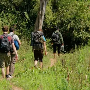 Explore Ninh Binh 2 days by Limousine- Hoa Lu, Tam Coc, Cuc Phuong National Park for 2 days with Asia Pacific Travel and discover unforgettable experiences - Photo 7