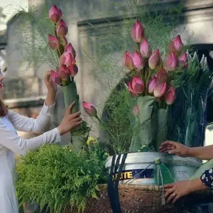 Explore Highlight Vietnam and Cambodia 13 Days for 13 days with Asia Focus Travel and discover unforgettable experiences - Photo 11