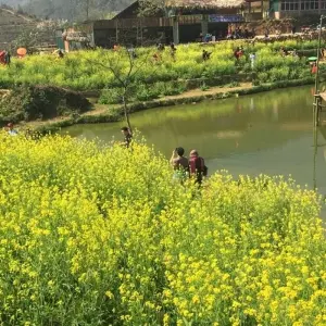 Explore Northern Vietnam Discovery 8D7N (Hanoi- Sapa- Ha Long - Ninh Binh) for 8 days with Asia Pacific Travel and discover unforgettable experiences - Photo 5