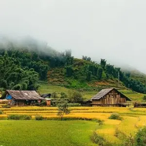 Explore Vietnam Holiday 19 Days 18 Nights for 19 days with Asia Pacific Travel and discover unforgettable experiences - Photo 11