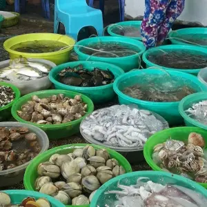 Explore Impressive Ho Chi Minh City 6 Days 5 Nights for 6 days with Asia Pacific Travel and discover unforgettable experiences - Photo 7