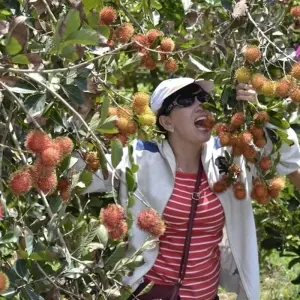 Explore Mekong Delta Tour 3 Days 2 Nights -  Express Boat to Cambodia for 3 days with Asia Pacific Travel and discover unforgettable experiences - Photo 4