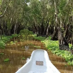Explore Mekong Delta Tour 3 Days 2 Nights -  Express Boat to Cambodia for 3 days with Asia Pacific Travel and discover unforgettable experiences - Photo 7