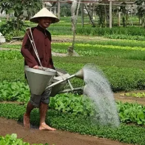 Explore Northern Vietnam adventure 8D7N (Hanoi to Hoi An) for 8 days with Asia Pacific Travel and discover unforgettable experiences - Photo 7