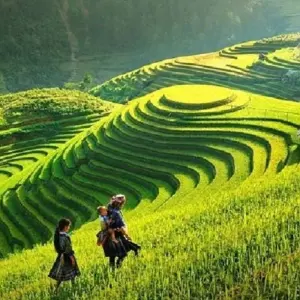 Explore 9 Days northern Vietnam - Cambodia (Hanoi, Sapa, Ha Long, Siem Reap) for 9 days with Asia Pacific Travel and discover unforgettable experiences - Photo 2