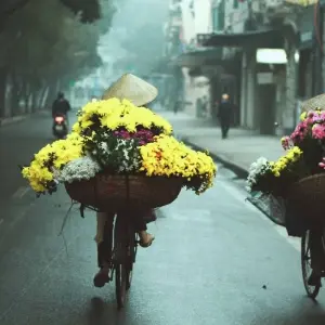 Explore The Best of Vietnam & Cambodia 17 days (Mekong Delta exit to Cambodia by Express boat) for 17 days with Asia Pacific Travel and discover unforgettable experiences - Photo 6