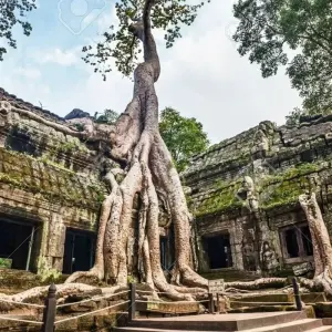 Explore Best of Vietnam - Cambodia - Laos 13 days 12 nights (Mekong Delta exit to Phnom Penh - Siem Reap - Luang Prabang) for 13 days with Asia Pacific Travel and discover unforgettable experiences - Photo 6
