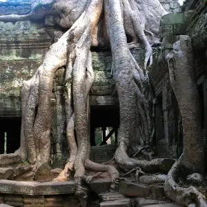 Explore Cambodia Experience 5 Days 4 Nights for 5 days with Asia Pacific Travel and discover unforgettable experiences - Photo 5