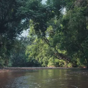 Explore Essential Taman Negara with the Orang Asli 3Days/ 2Nights for 3 days with Asian Overland Services Tours & Travel  and discover unforgettable experiences - Photo 2