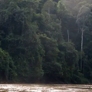 Explore Ulu Muda: A Date with Nature for 5 days with Asian Overland Services Tours & Travel  and discover unforgettable experiences - Photo 4